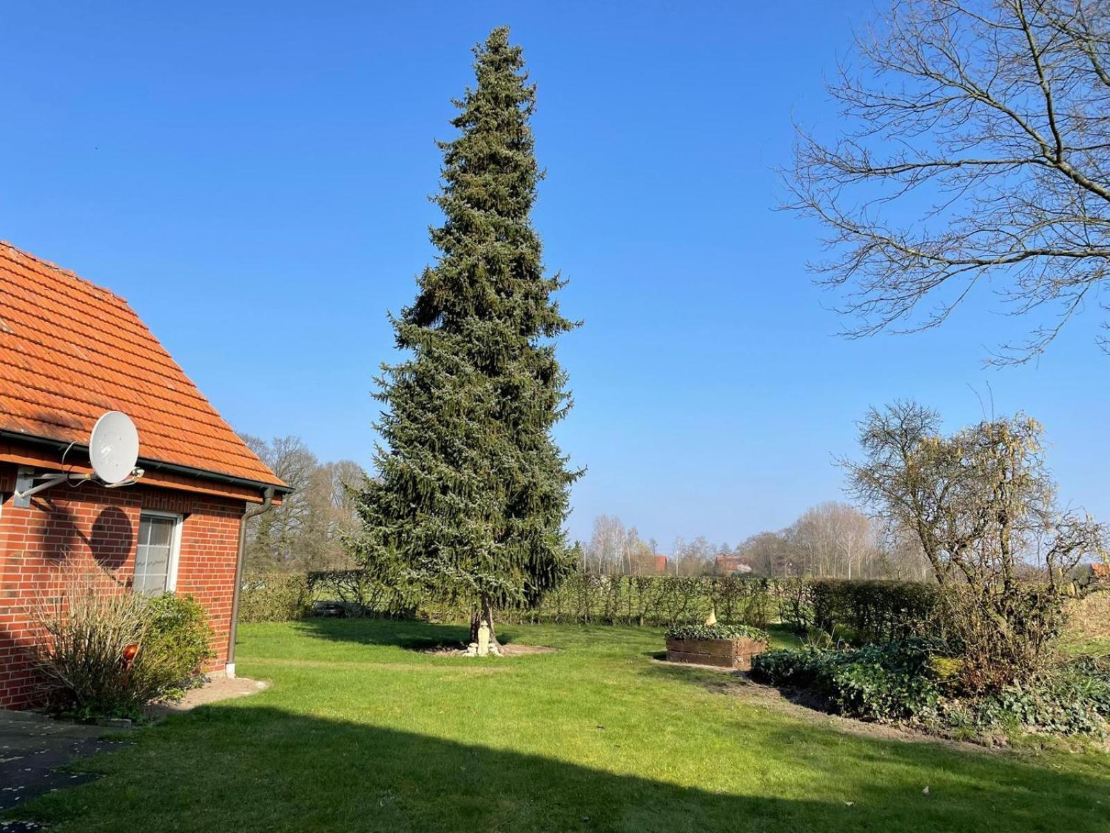 Ferienwohnung Kiebitzheide Beelen Exterior foto